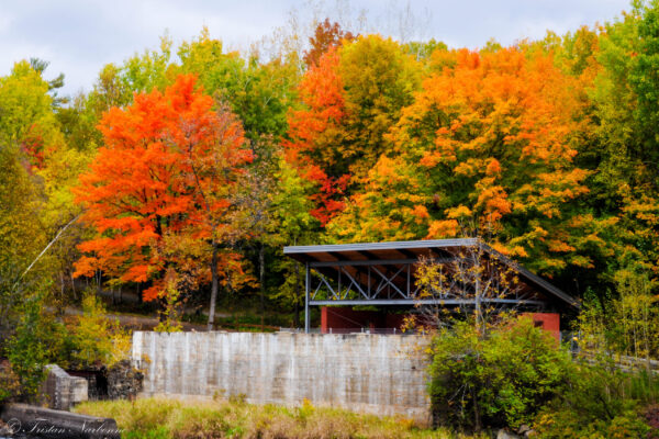 Pulperie automne