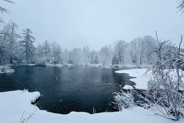 Rivière hiver 2024