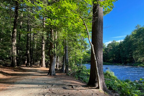 Sentier des arts avec rivière 2022