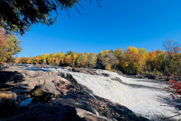 chute couleurs automne 2024