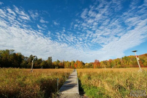 marais passerelle automne