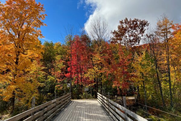 pont automne