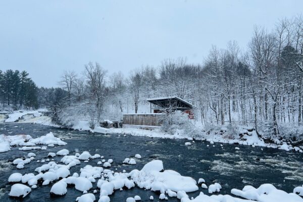 pulperie hiver
